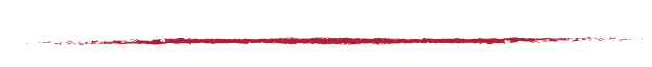 NEWSLETTER_BORDER
