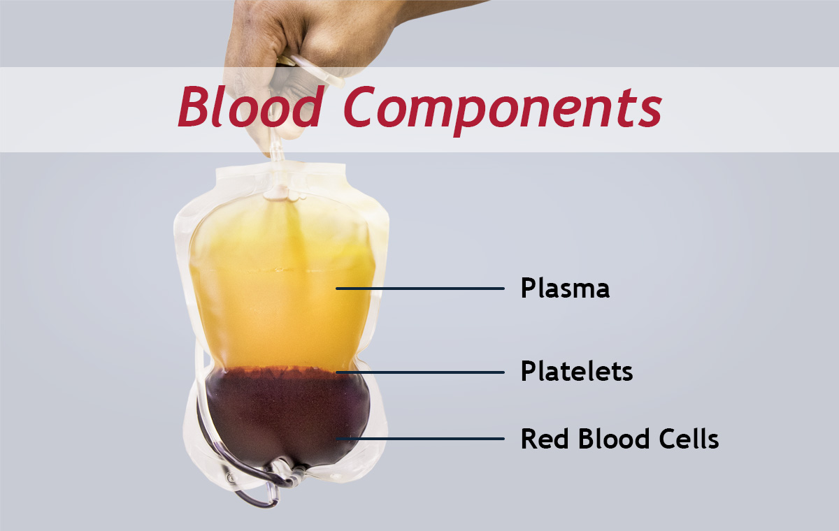 Blood-Components-1200×760 Blood components: plasma, platelets, red blood cells
