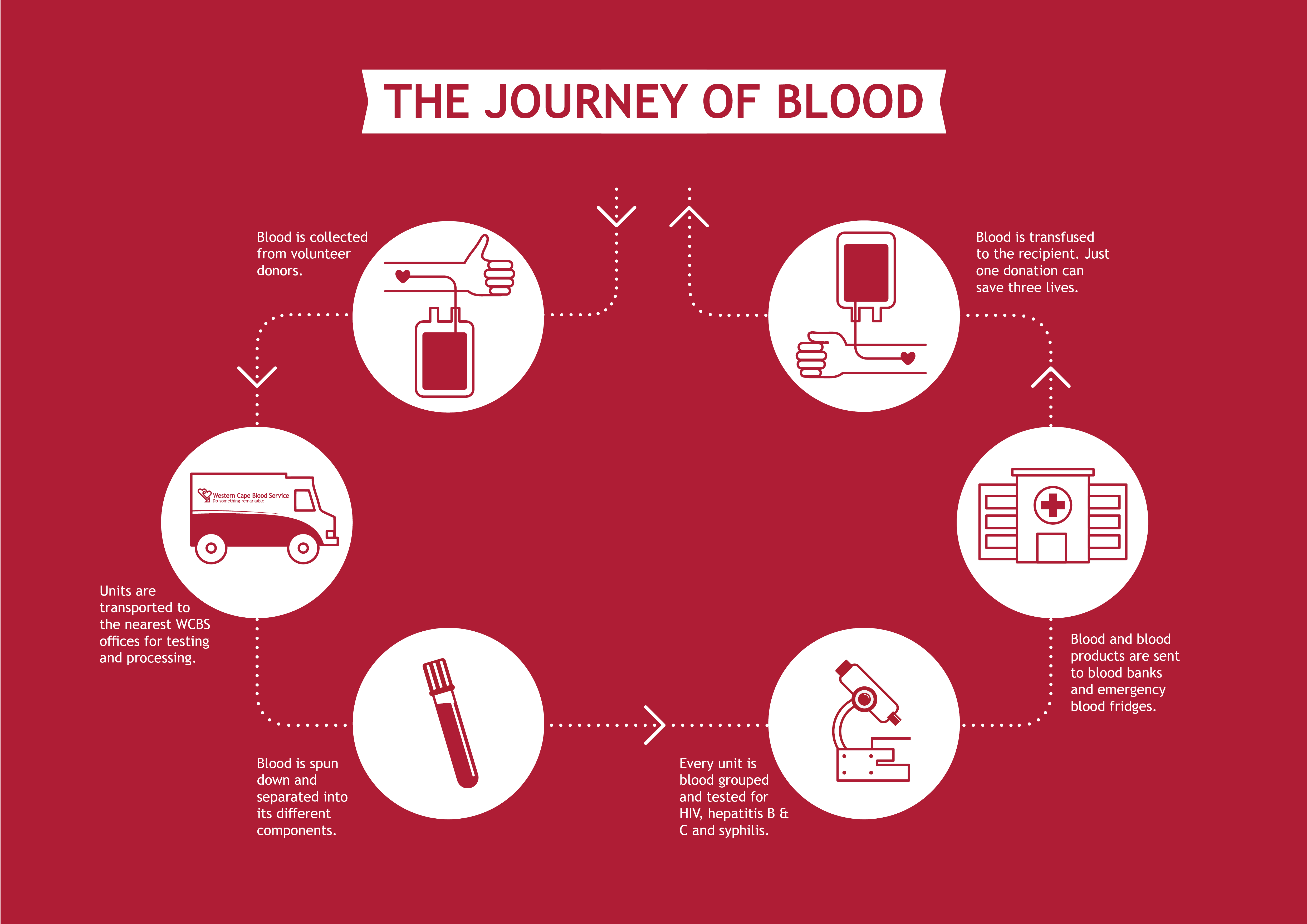 journey-of-blood-landscape edit Journey of Blood