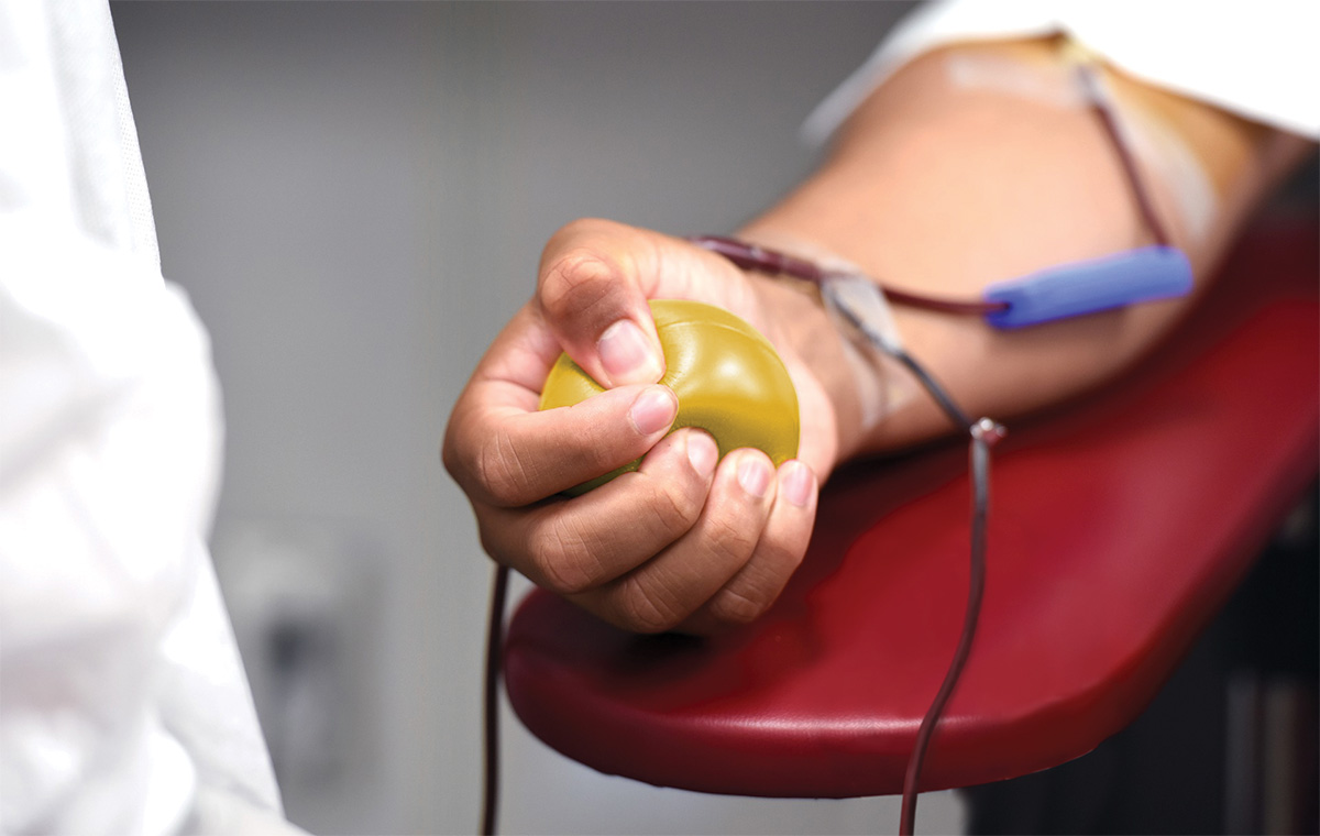 blood-plasma-donor