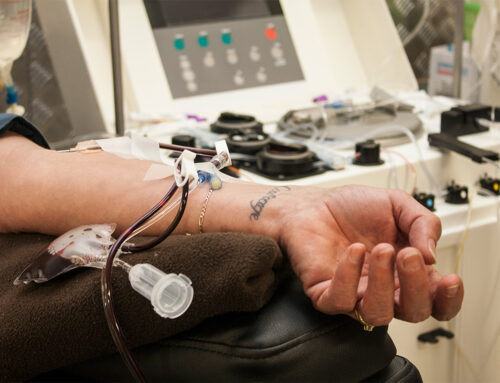 We Answer Your Burning Questions About Blood Donation