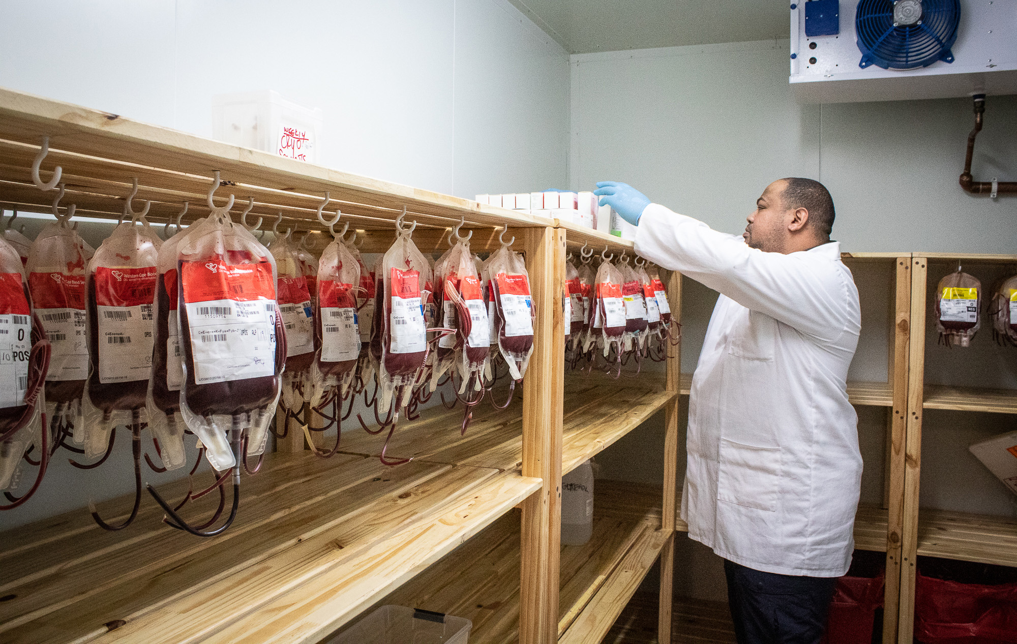 What is a blood bank?