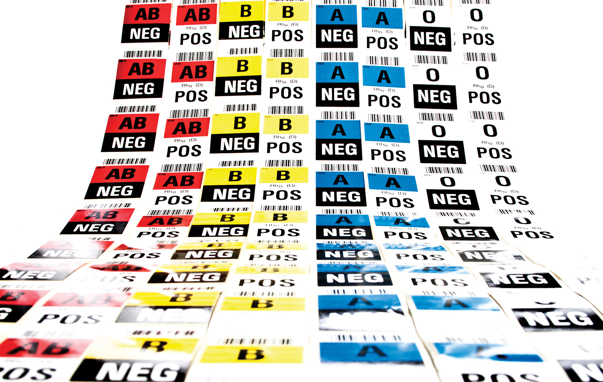 Blood Types Decoded: What Your Blood Group Says About You and Your Health