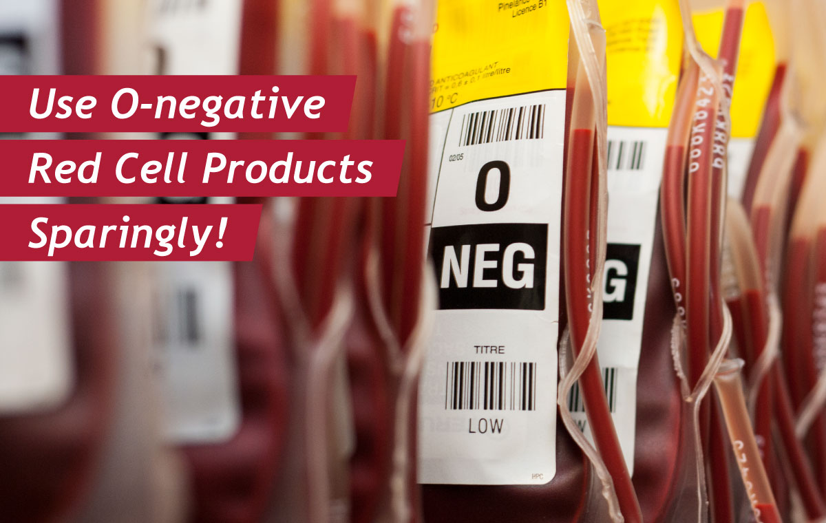 The-Life-Blood-Blog-images-oneg-blood-sparingly